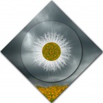 Evidence of Myth Mandala – DIAMOND ORIENTATION