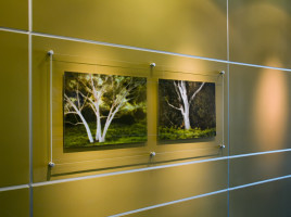 Corporate Office San Diego: Photographs on curved wall by Larry A. Vogel