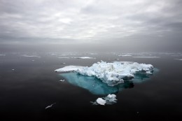 Sea Ice Remnant, Svalbard