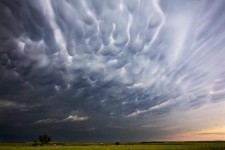 Mammatus Clouds IV, NE