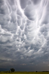 Mammatus Clouds III, NE