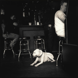 Bulldog and it’s Owner, New Orleans
