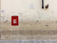 Graffiti, Accademia della Arti, Florence