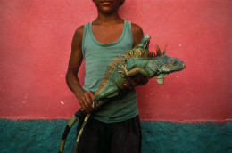 Boy with Iguana, Kilometro, Honduras