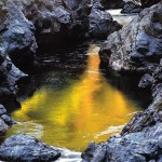 Golden River Pool, OR