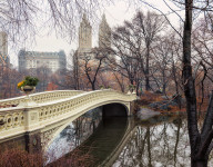 Bow Bridge, Central Park, NYC