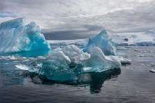 Blue Icebergs, Cierva Cove