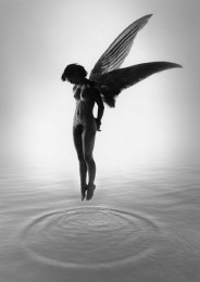 Untitled, aka Angel Wings (Sold)