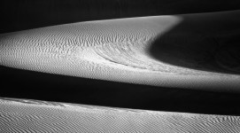 Oceano Dunes #5534