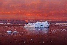 Iceberg in Blood Red Sea, Lemaire Channel, Antarctica