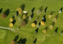Golf Course Trees and Shadows, near Lock Berlin, NY
