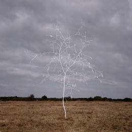 Smoke & Mirrors Heathland 2