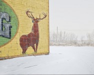 Deer Crossing, Alberta, CA