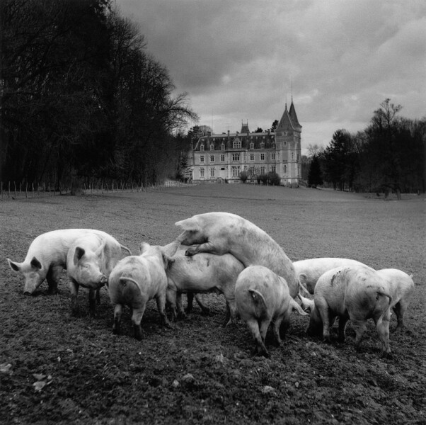 La Vie de Chateau