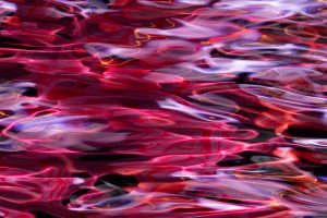 Typhoon Shelter No. 1