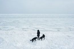 Frozen Sea, Odessa, Ukraine