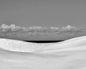 Dune Anatomy, No. 16A