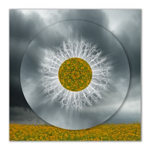 Evidence of Myth Mandala