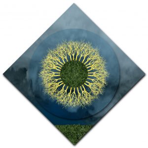 Field of Gold Mandala – Diamond Orientation