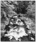 Deer Creek (Sold)