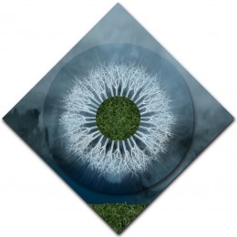 Silver Field Mandala – DIAMOND ORIENTATION