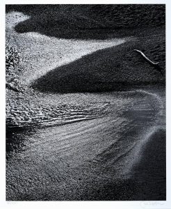 Surf & Driftwood, Afternoon, Point Lobos