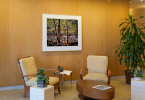 Reception, Corporate Office, Newport Beach: Photograph by Charles Cramer