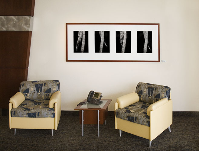 Corporate Office Entry Lobby, San Diego: Photograph by Larry Vogel