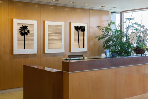 Corporate Office, Reception, Newport Beach: Triptych by Larry Vogel