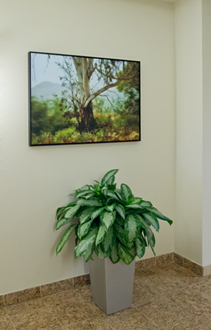 Private office, hallway Rancho Bernardo: Photograph by Larry Vogel