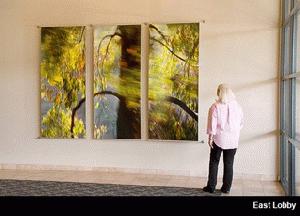 Del Mar: Entrance Lobby with photography by Larry Vogel from Motion Picture series