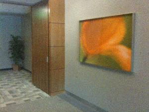 Office, Del Mar: William Neill photograph from Impressions of Light