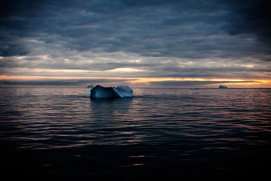 Floating in the Sea, West Greenland