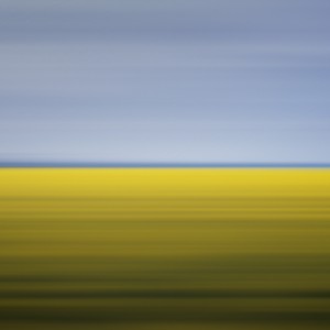 Drift 11: Mustard Field, Winnipeg