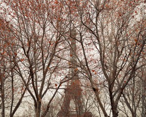 Eiffel Tower, Paris, France