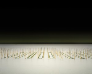 Mikawa-wan Nori Farm, Japan