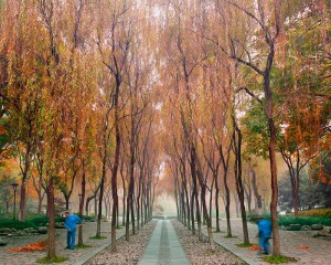Sweepers, West Lake Hangzhou, China