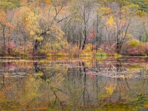 Along the Contoocook River, Autumn