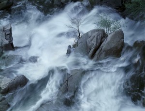 Cascade Creek Spring, Yosemite