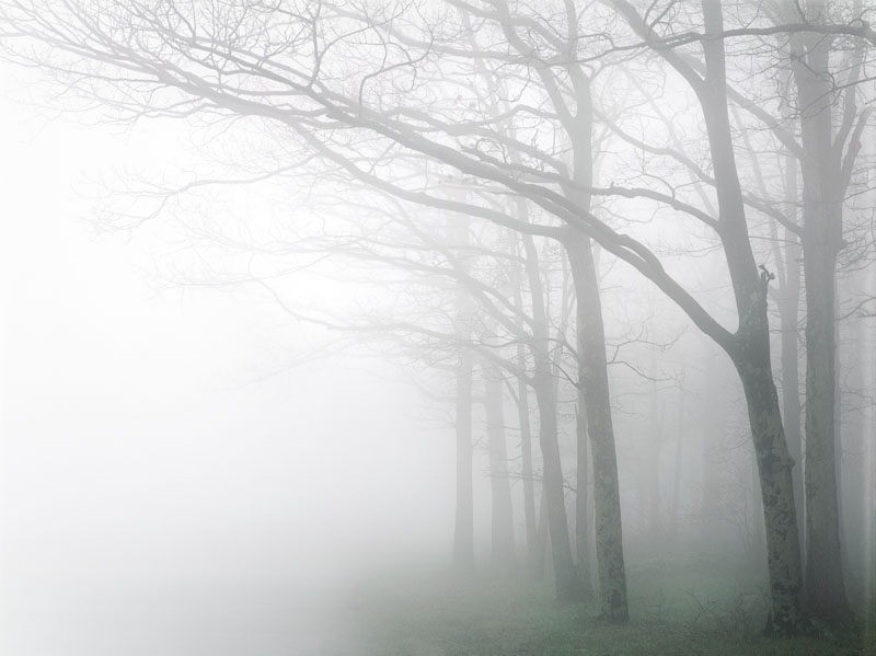 Dawn Fog, Shenandoah, Virginia