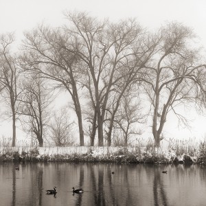The Fourth Day of Spring, Windsor, CO