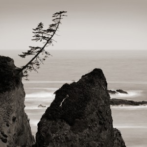 Lean Unto Me, Coos Bay, OR