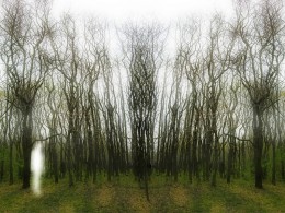 Hiding the Fiction