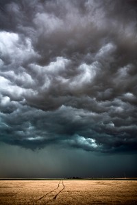 Tracks Through the Field, KS