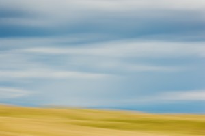 Foothills,Table Mountain