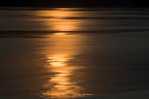 Reflections, Carmel Bay, Carmel