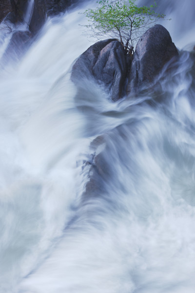 Rock, Water & Tree, Cascade Falls