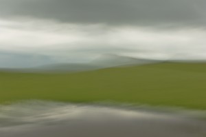 Vernal Pool and Sierra Nevada Foothills, Table Mtn.