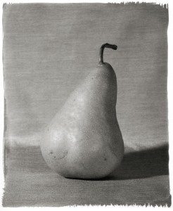 Bosc Pear