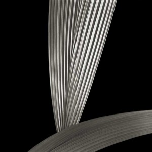 Ribbed Leaves III